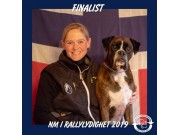 Våler i Solør 11.08.2019 - Venceremos Arco Erato - NM Rallylydighet Elite - 29.plass av 60 - 157 poeng