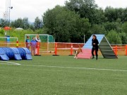 Fauske 03.08.2019 - Nashira av Boxerhuset - Agility hopp kl 1 - Excellent - AGHI