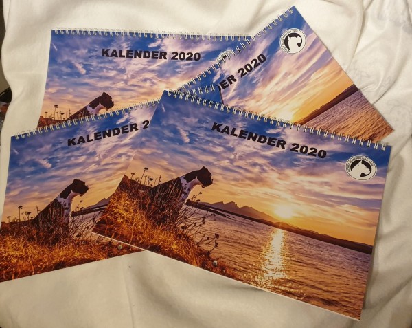 Boxerkalender 2020