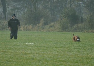 Eskador vom Fischbachtal IGP3-1-2019