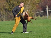 Freiburg, Tyskland 08.09.2019 - Eskador Vom Fischbachtal - RIK - IGP3 - Kvalifikasjonsprøve til Deutsche Meisterschaft