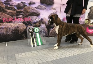 Kronion's Josephine 050519