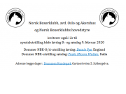 Norsk Boxerklubb inviterer også i 2020 til spesialutstilling i Drammen hundepark