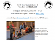 Norsk Boxerklubb inviterre til Valpeshow for (nesten) ALLE raser 8. februar 2020