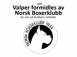 Valper formidles 2020