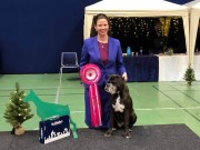 Letohallen Dal 28.12.2019 - Handler's Pralin - BIR Veteran 4.BIS Veteran