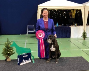 Handler's Pralin 2019-12-28-2