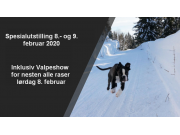 Informasjon og PM'er for NBK sine utstillinger i Drammen hundepark 8.- og 9. februar 2020