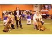 Norsk Boxerklubb sin spesialutstilling 09.02.2020 - Presentasjon av vinnerne