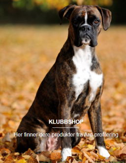 Klubbshop