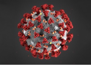 koronavirus