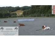 Katalog og lenke til utstillingsresultater på NBKs hovedstyre sin utstilling i Trøndelag tilgjengelig her