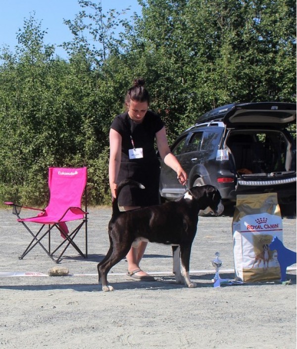 BesteVet - NBK - 2020-06-26
