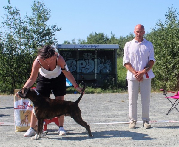 BesteVet - NBK - 2020-06-27