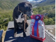 Luster 25.07.2020 - Handler's Pralin - Rallylydighet kl 3 - 1. premie 193 poeng - Ny tittel RLIII