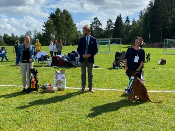 Telemark-2020-BIR-BIM-1