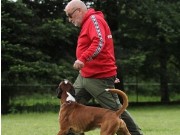 Dormitz, Tyskland 24.08.2020 - Eskador Vom Fischbachtal - RIK - IGP3