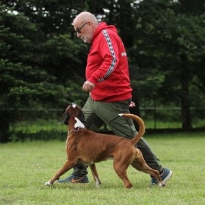 Eskador vom Fischbachtal 2020-08-24