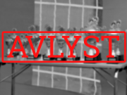 Februarutstillingene 2021 avlyses