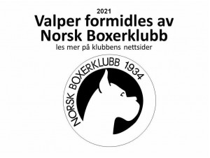 Valpeformidling 2021