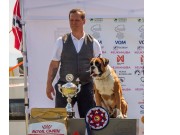 Vestby 12.06.2021 - Agamenôn Of Troy By Siennabox - Årsvinner hannhund 2021, BIR
