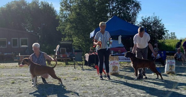 Bir bim trøndelag .