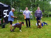 Norsk Boxerklubb Agder sin spesialutstilling 14.08.2021 - Presentasjon av vinnerne