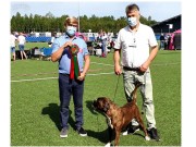 Sandefjord 05.06.2021 - MossBox Amazing Grace - CERT CACIB BIM - Cruft kval - Norsk Utstillingschampionat