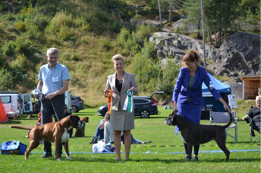 Bir bim veteran Telemark 28.08
