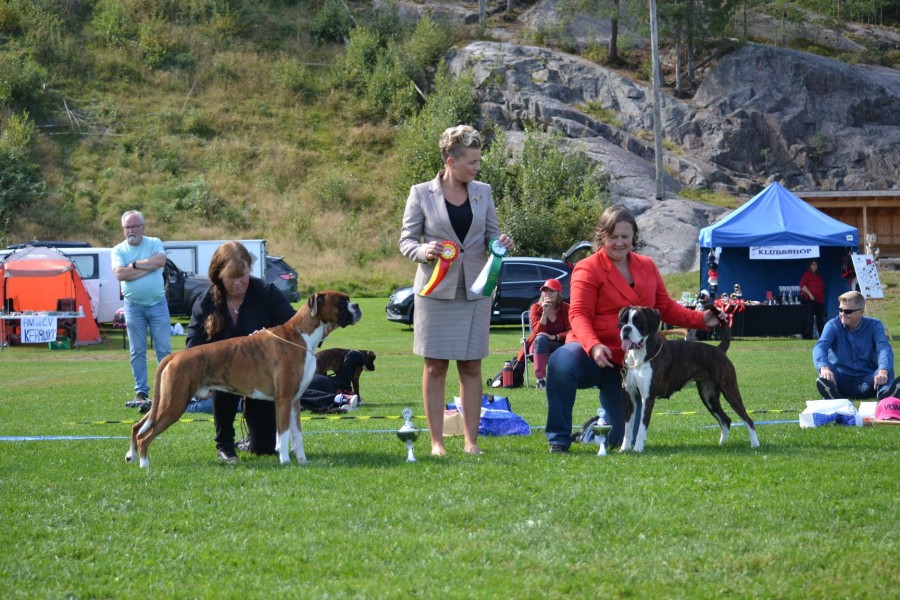 bir og bim telemark 28.08