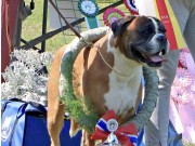 Fredrikstad 24.07.2021 - Urban Legend`s Go Get`em - Beste Veteran