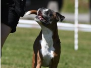 Gran 01.08.2021 - Urban Legende`s High Five - Rallylydighet kl 2 - 1. premie 189 poeng