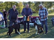 Norsk Boxerklubb Vestfold sin spesialutstilling 25.09.2021 - Presentasjon av vinnere