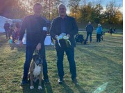 Gelsenkirchen, Tyskland 23.10.2021 - Bozzz von Ellinghaus - Bester Veteran Rude, BOB Veteran, Bundes Veteransieger 2021