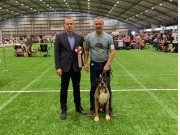 Ballerup, Danmark 19.09.2021 - Bozzz von Ellinghaus - 2.BHK, Beste Veteran, Vet.Cert, KBHVeteranvinner 21, Dansk Vet. Champion