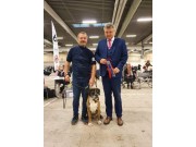 Herning, Danmark 13.11.2021 - Von Ellinghaus Bozzz - 4.BHK Beste veteran - Nordisk Veteranvinner 21