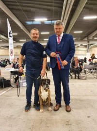 Bozzz Nordisk Veteran Vinner 2021