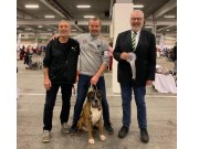 Herning, Danmark 14.11.2021 - Von Ellinghaus Bozzz - 4.BHK,  Beste veteran -  Dansk Veteranvinner 21 