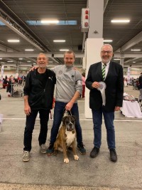 Bozzz_Dansk Veteran Vinner 2021