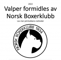 Valpeformidling 2022