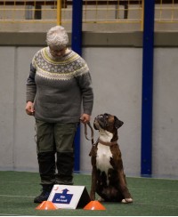 eirin og jussi