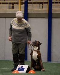 eirin og jussi
