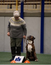 eirin og jussi