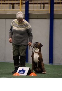 eirin og jussi
