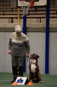 eirin og jussi