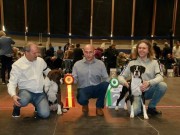 Kristiansand 19.03.2022 - Longsdale's Stay'n Put - CERT Nordic Cert BIR 3.BIG 