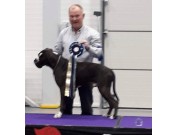 Varhaug 09.04.2022 - Kronion's Kratos Your Felix - BIR - BIG 1.