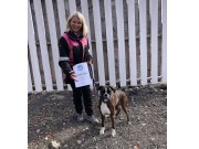 Lahaugmoen Hundesenter 09.04.2022 - Bricilla`s Mymlen - Nosework - Godkjent LGT. Kl 1 Bjørk 