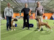 Norsk Boxerklubb sin spesialutstilling 13.02.2022 - Presentasjon av vinnere