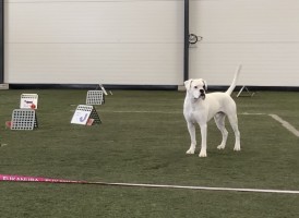 Nobel av Boxerhuset RL2